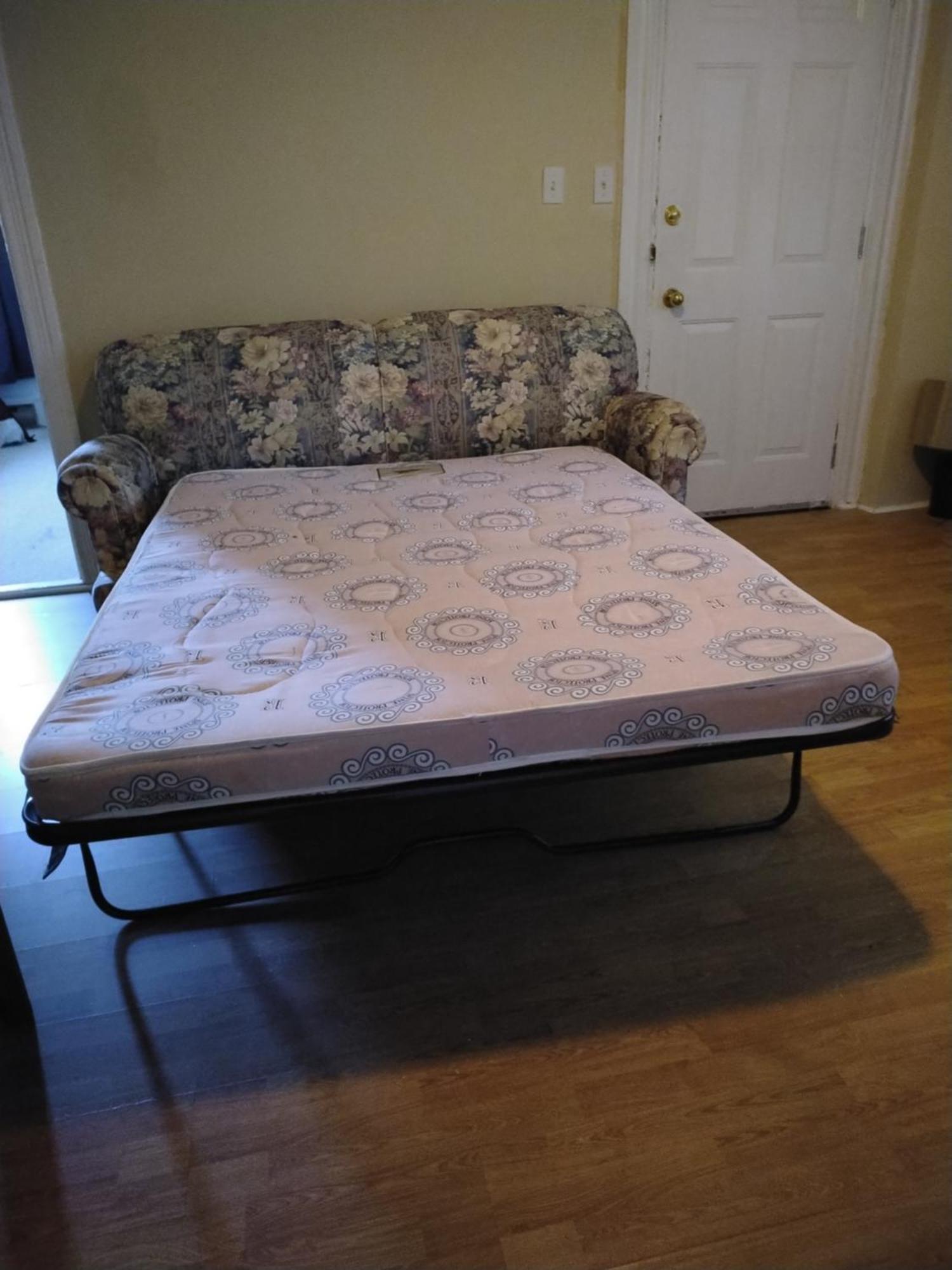 Cozy Downtown Two Bedrooms Free Parking Kingston Bagian luar foto