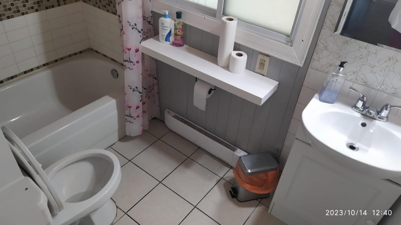 Cozy Downtown Two Bedrooms Free Parking Kingston Bagian luar foto